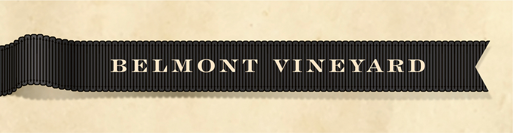 Belmont Vineyard Ribbon